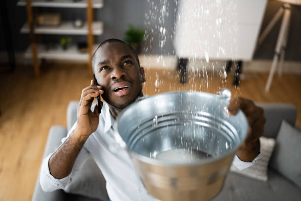 Best Carpet water damage restoration  in Oli, PA