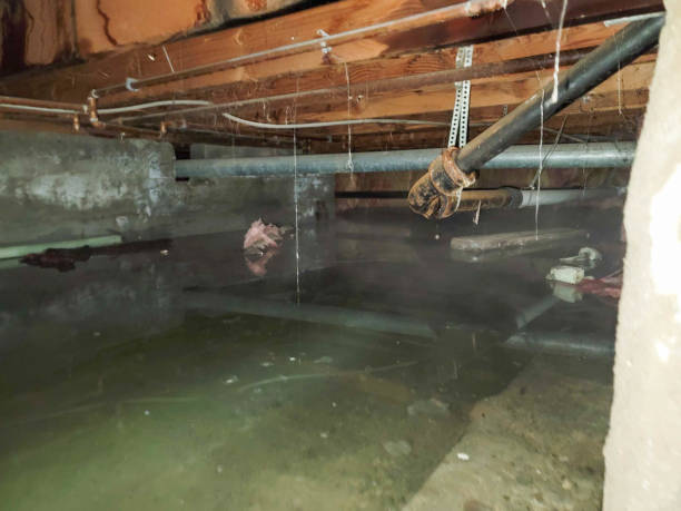 Best Fire Damage Restoration  in Oli, PA