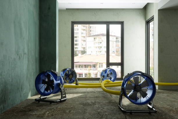 Best Flood restoration services  in Oli, PA