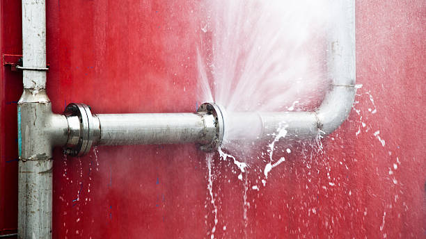 Best Water damage restoration near me  in Oli, PA