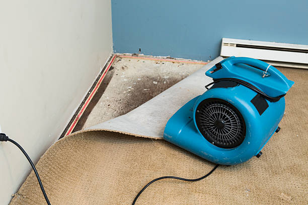 Best 24-hour water damage restoration  in Oli, PA